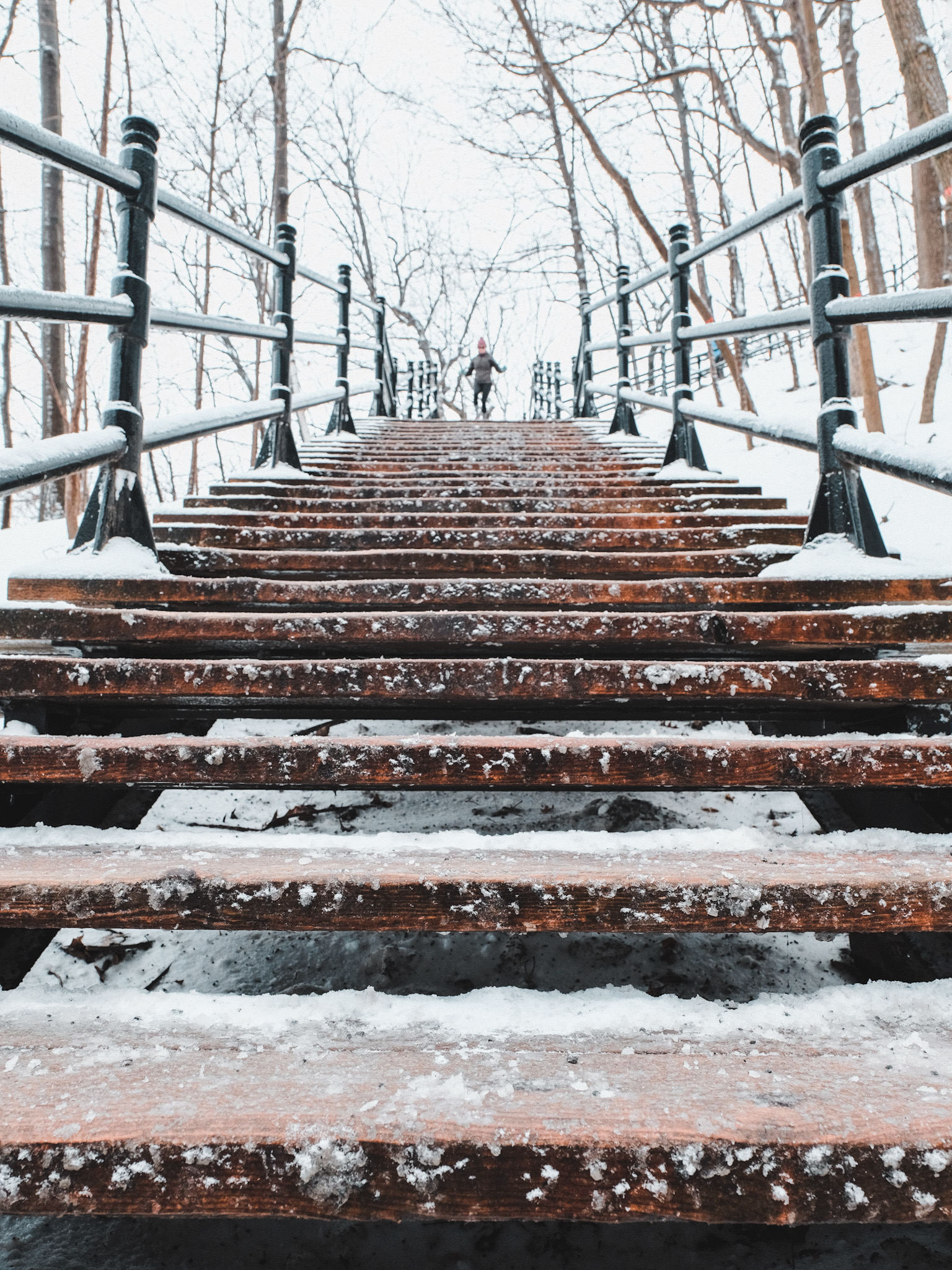 Escaliers Mont Royal Montreal