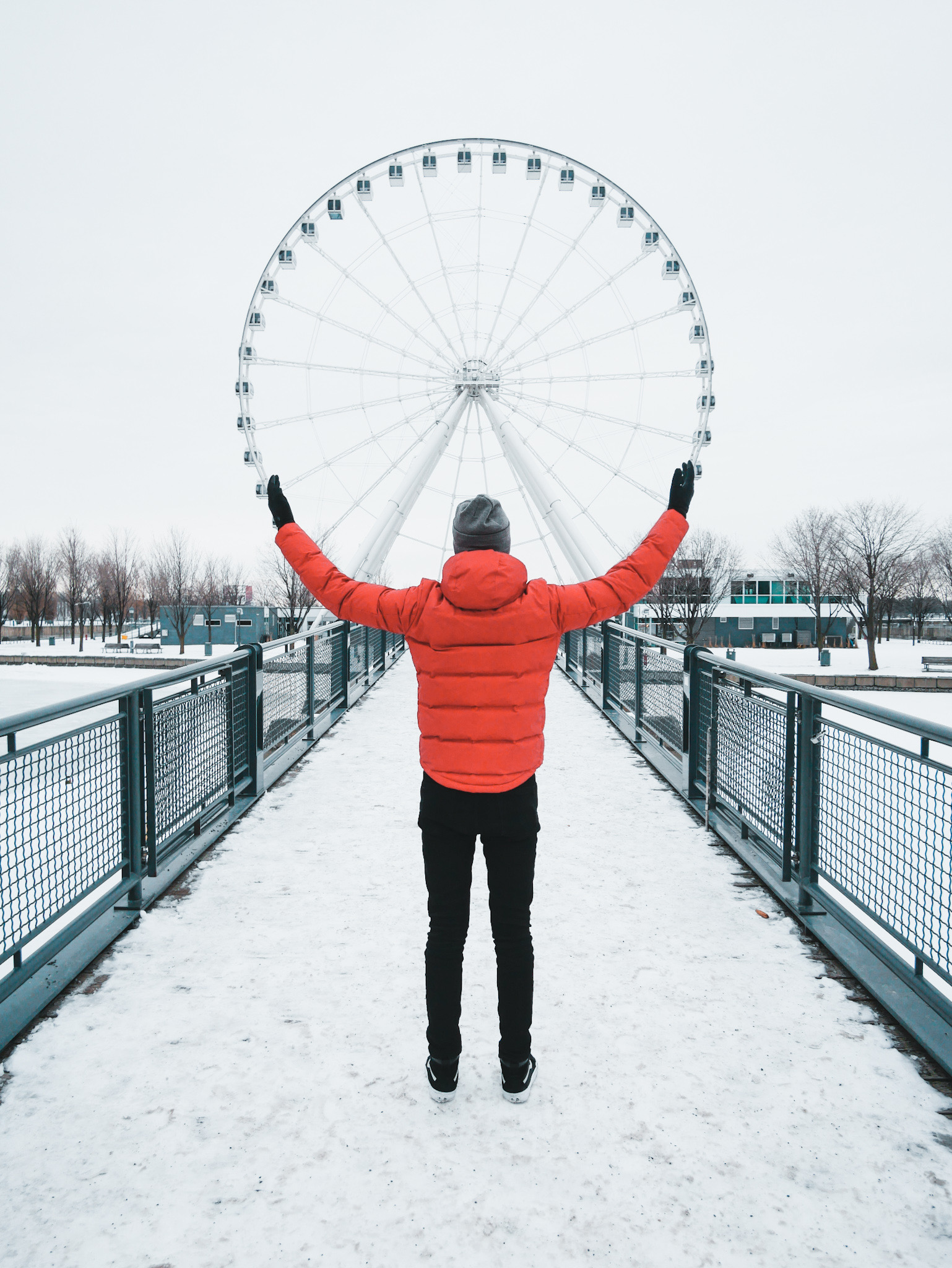 Grande Roue Montreal