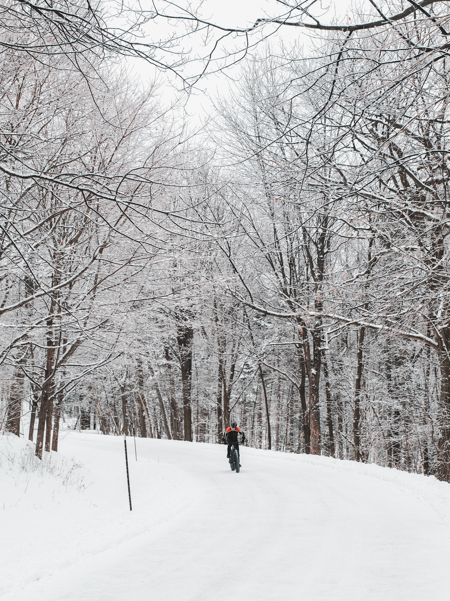 Mont Royal Montreal Hiver