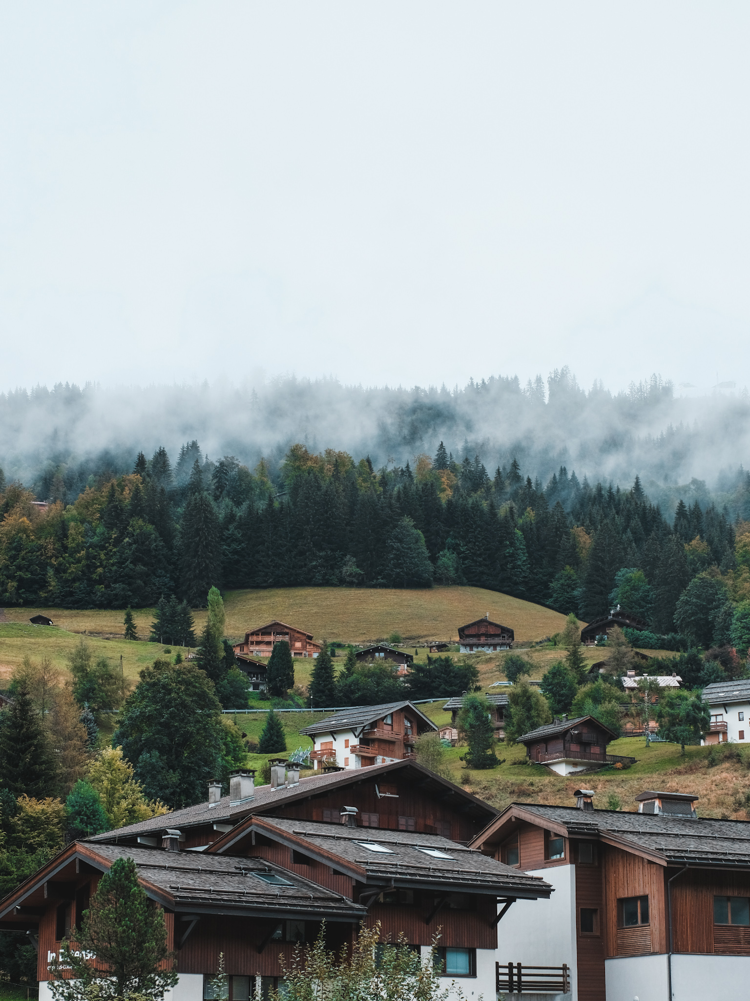 Haute-Savoie Reblochon